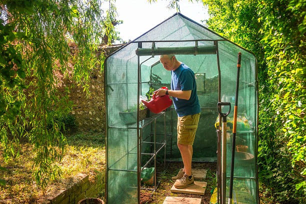 ealing Begins in the Garden A Herbal Wellness Awakening